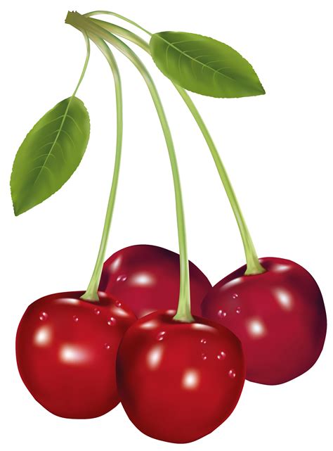 Free Cherries Cliparts Download Free Cherries Cliparts Png Images