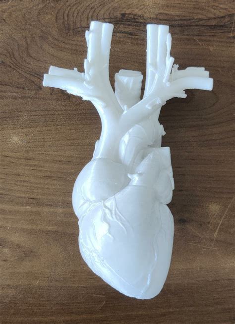 3d Printable Human Heart Made With Creality Ender 3v2・cults