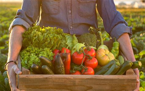 thane and mulund peeps get farm fresh veggies delivered to your doorstep from farmhive