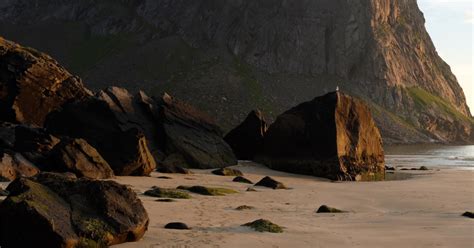 Spuren im sand text trauer. Spuren im Sand | Sonstiges | Galerie | MacTechNews.de