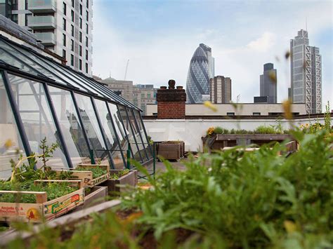 Best Rooftop Gardens In London Rooftop Spots For Summer Days