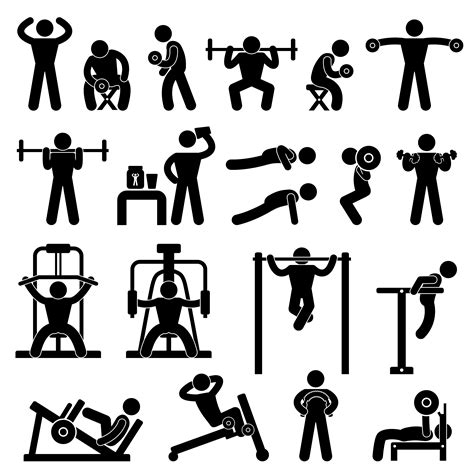 Gym Gymnasium Body Building Exercise Training Fitness Workout 349032