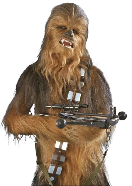 Bandolier Wookieepedia The Star Wars Wiki