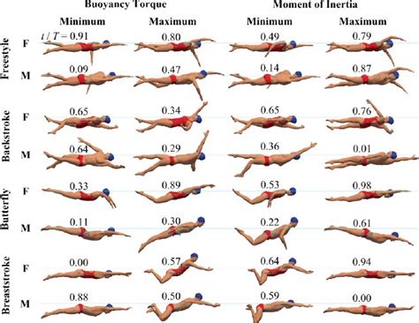 Figure Swimmer Body Poses At Time Instants Of Minimum And Maximum Swimmers Body