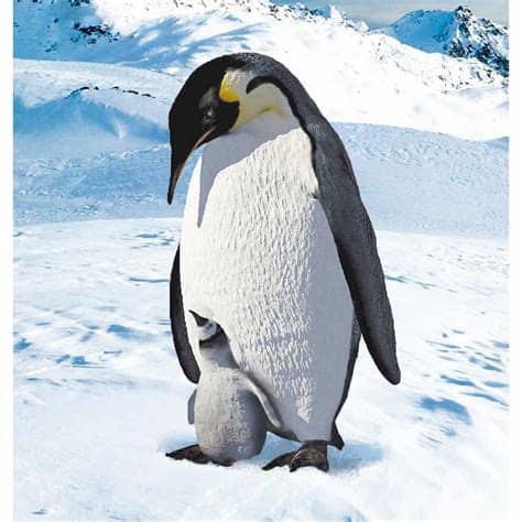 A todos nos hacen gracia los pinguinos, así que hemos reunido juegos de pinguinos para que te diviertas con ellos. Animales en Extinción | Pingüino emperador en Animales en ...