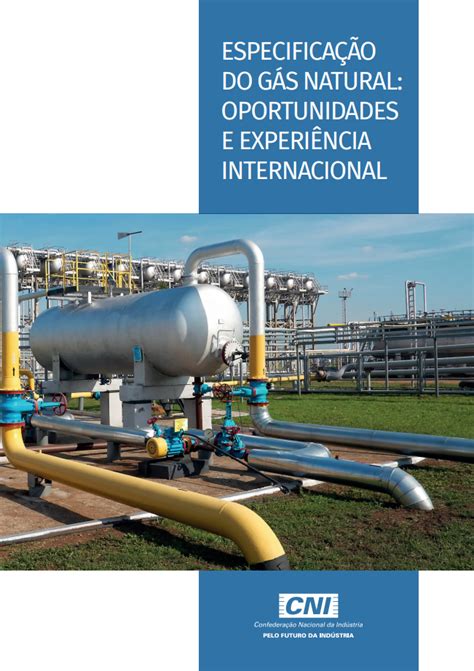 Especificação do Gás Natural Oportunidades e Experiência Internacional