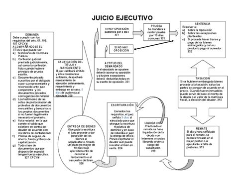 Juicio Ejecutivo Mercantil Diagrama ¡descarga And Ayuda 2021