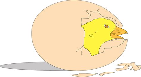 Animasi Telur Ayam Menetas Clipart Full Size Clipart 5303221