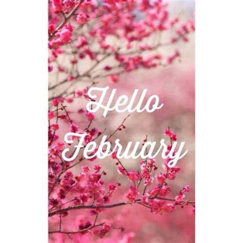 10 Beautiful Hello February Messages For 2023