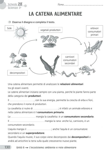 catena alimentare online exercise for classe terza you can do the exercises online or download