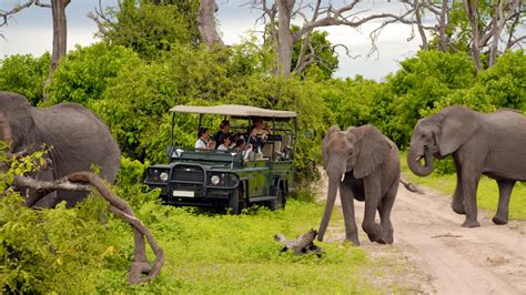South Africa Adventure Safari Adventure Unbound