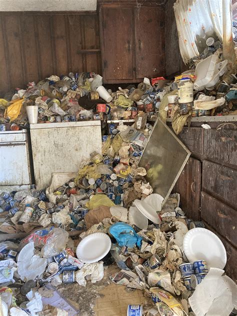 Hoarders house : r/accidentalrockwell