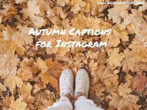 Top 40 Autumn Captions For Instagram Fall 2023
