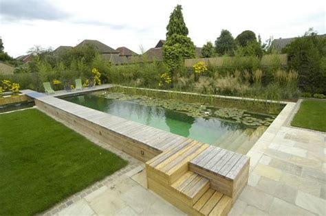 Maybe you would like to learn more about one of these? Natural Swimming Pool (ponds forum at permies)