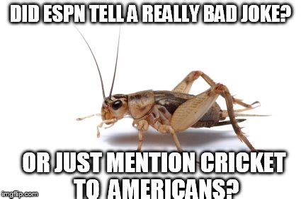 Potential new meme format memeeconomy. Hearing Crickets - Imgflip