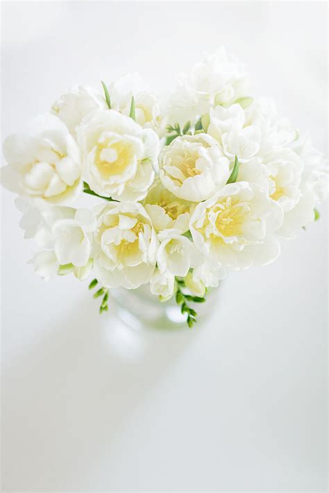 Maybe you would like to learn more about one of these? White Freesia Flowers - Hej Doll | Simple modern living by ...