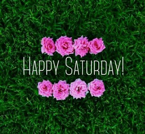 Lovethispic offers good morning happy saturday pictures, photos & images, to be used on facebook, tumblr, pinterest, twitter and other websites. Happy Saturday Quotes Images Funny Love - Good Morning ...