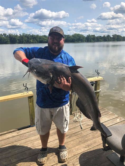 Angler Catches State Record Blue Catfish Wvdnr