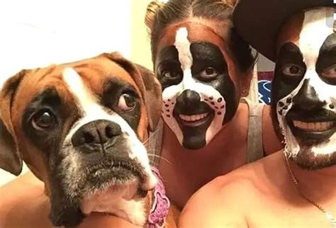 40 Funny And Clever Halloween Costumes For Boxer Dogs The Paws