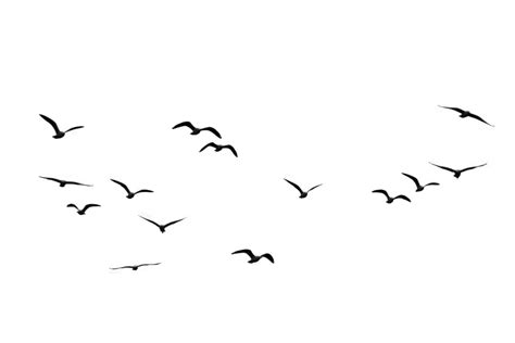 How To Draw Birds Flying In The Sky Easy Draw Easy