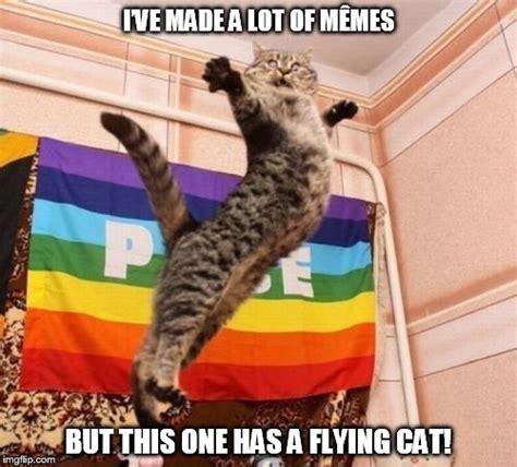 Flying Cat Imgflip