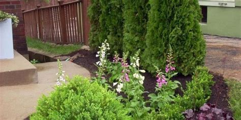 30 Big Tips And Ideas To Create Backyard Privacy Landscaping