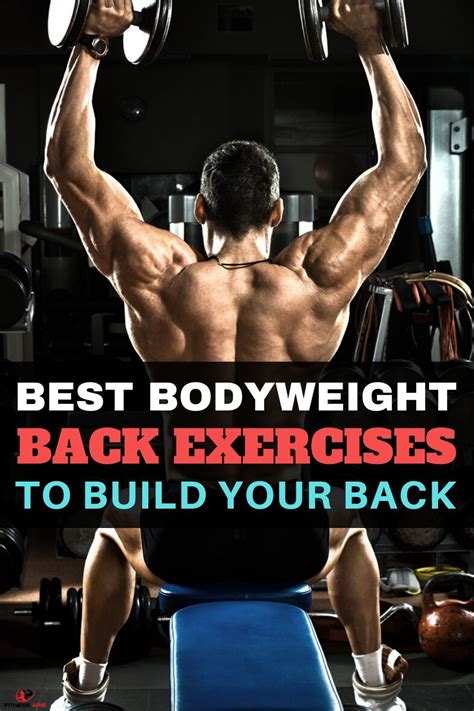 Bodyweight Back Exercises Bodyweight Back Exercises Back Exercises