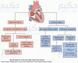 Photos of What Are Signs And Symptoms Of Left Sided Heart Failure