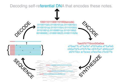 Storing Digital Data In DNA Long Now