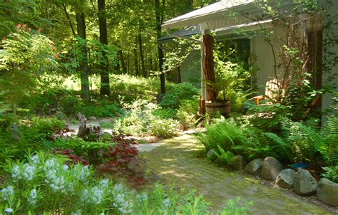 Pin By Brady Dunaway On Habitat Gardening Landscape Design Natural