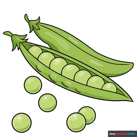 How To Draw Peas Really Easy Drawing Tutorial