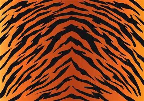 Tiger Stripe Pattern Rayas De Tigre Tigre Arte Vectorial