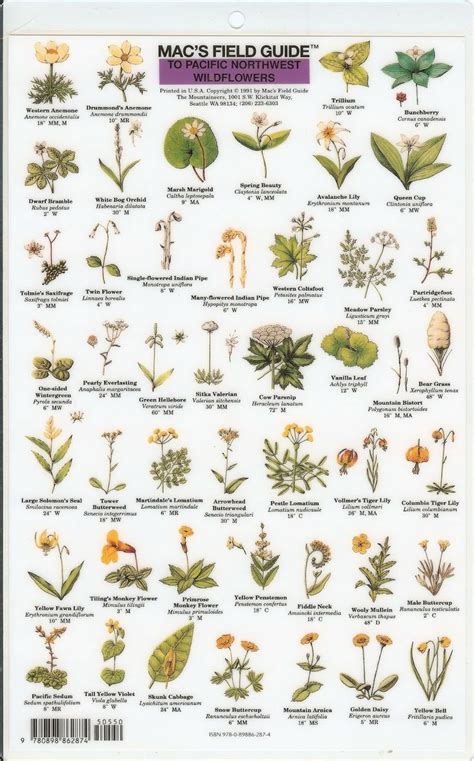 Member of the inaturalist network | powered by inaturalist open source software | documentation for developers. Mac's Field Guide to Pacific Northwest Wildflowers ...