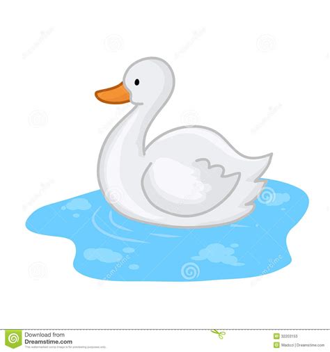 Duck In Water Stock Vector Illustration Of Duckling