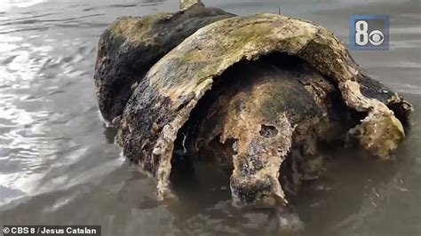 Two Of The Four Sets Of Human Remains Found In Drought Wracked Lake