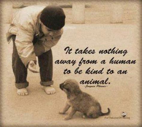 Kindness Animal Quotes Animals Friends Dogs