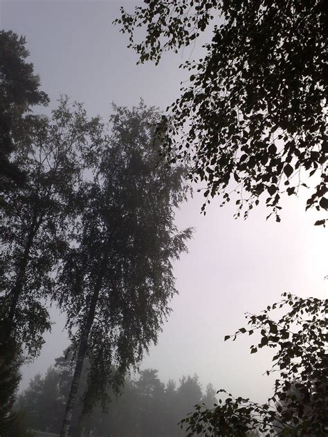 Morning Foggy Morning Tatulund Flickr