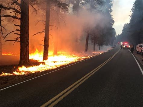 Roads Trails Reopen On Grand Canyon North Rim As Wildfire Dies Down