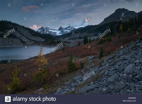 Og Lake Against Assiniboine Peak Autumn Canadian Rocky Mountains