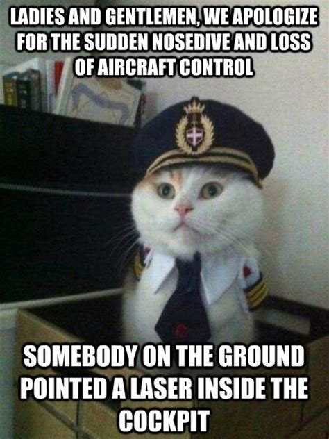 Captain Kitten Sudden Nosedive Aviation Humor