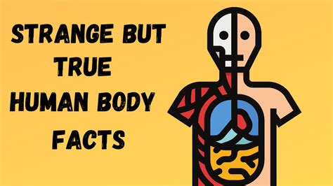 Strange But True Facts About The Human Body Moomoomath And Science