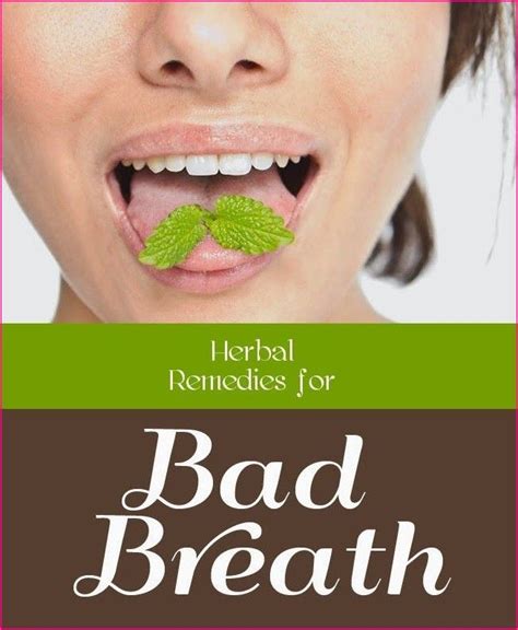 bad breath remedies simple and natural treatments bad breath remedy