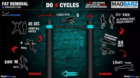 Calisthenics The Ultimate Beginners 7 Day Guide Biostrap