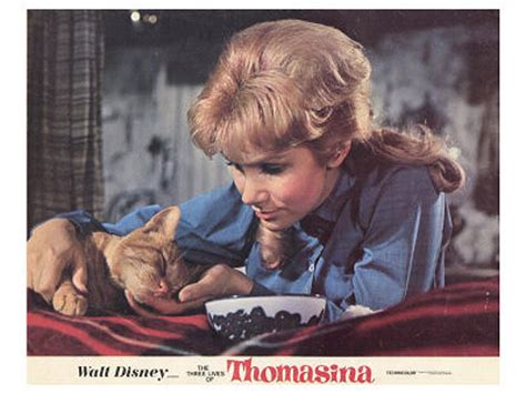 Lori brings thomasina back to life, eventually brings andrew and little mary together again, and becomes andrew's wife and mother for the little girl. Nine Memorable Moments in Feline Cinema History - Catster