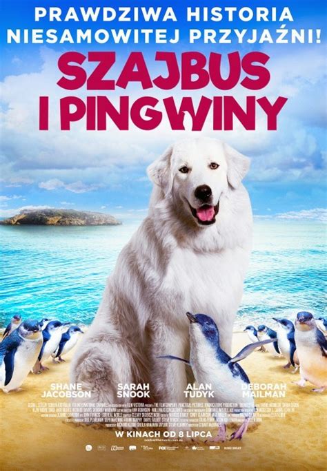 Fajne Filmy Do Obejrzenia Na Cda - „Szajbus i pingwiny" oraz „7 krasnoludków i Królewna Śnieżka - Nowe przygody” premierowo w