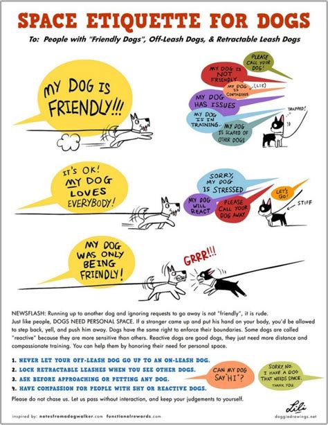 Pin By D Is For Dog On Dog Training Infographics Dog Friends Dog