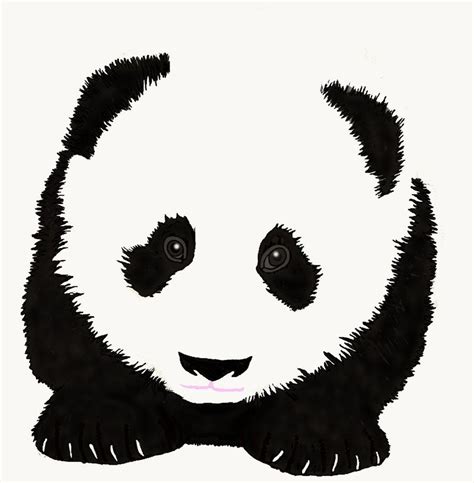 Pin By Meagan Hahn On Animal Lover Panda Panda Bear Bear Stencil