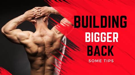 Building A Bigger Back Buildabiggerback Backworkout Exercisetips