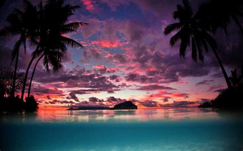 4550152 Landscape Beach Sunset Tropical Nature Palm Trees