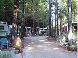 Pictures of University Trailer Park